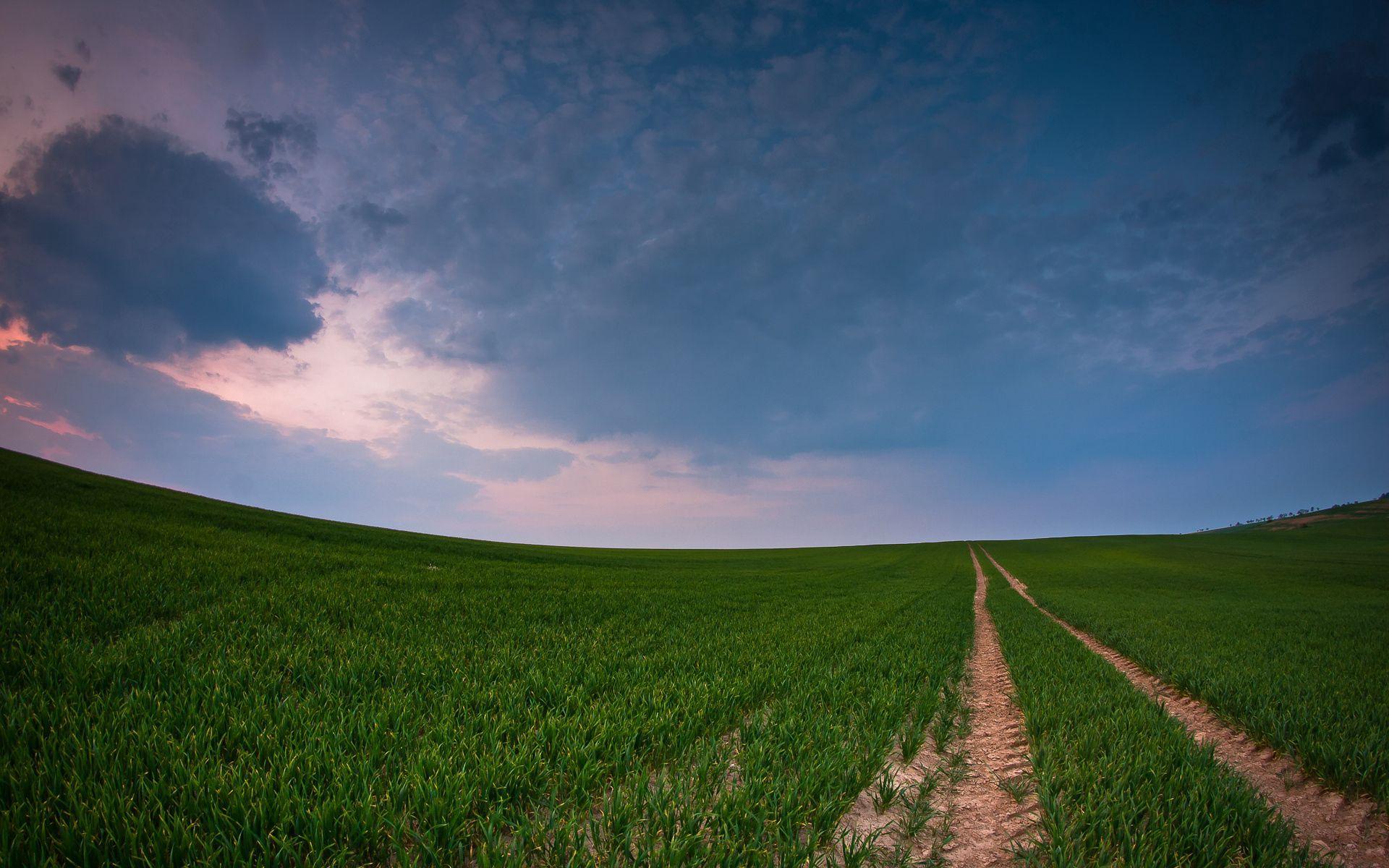 1920x1200 Download wallpaper 1920x1200 field, road, country, crops, panorama, green HD background