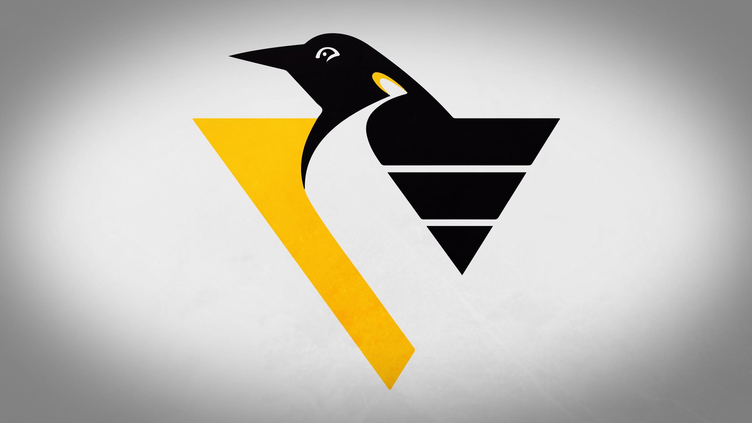 2560x1440 Download Pittsburgh Penguins wallpaper for mobile phone, free Pittsburgh Penguins HD picture