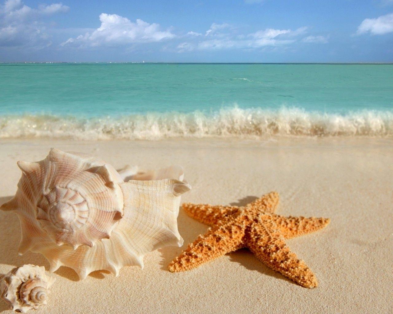 1280x1024 Wallpaper Beach Waves Big Wave Beach Wave Wallpaper For Home Walls