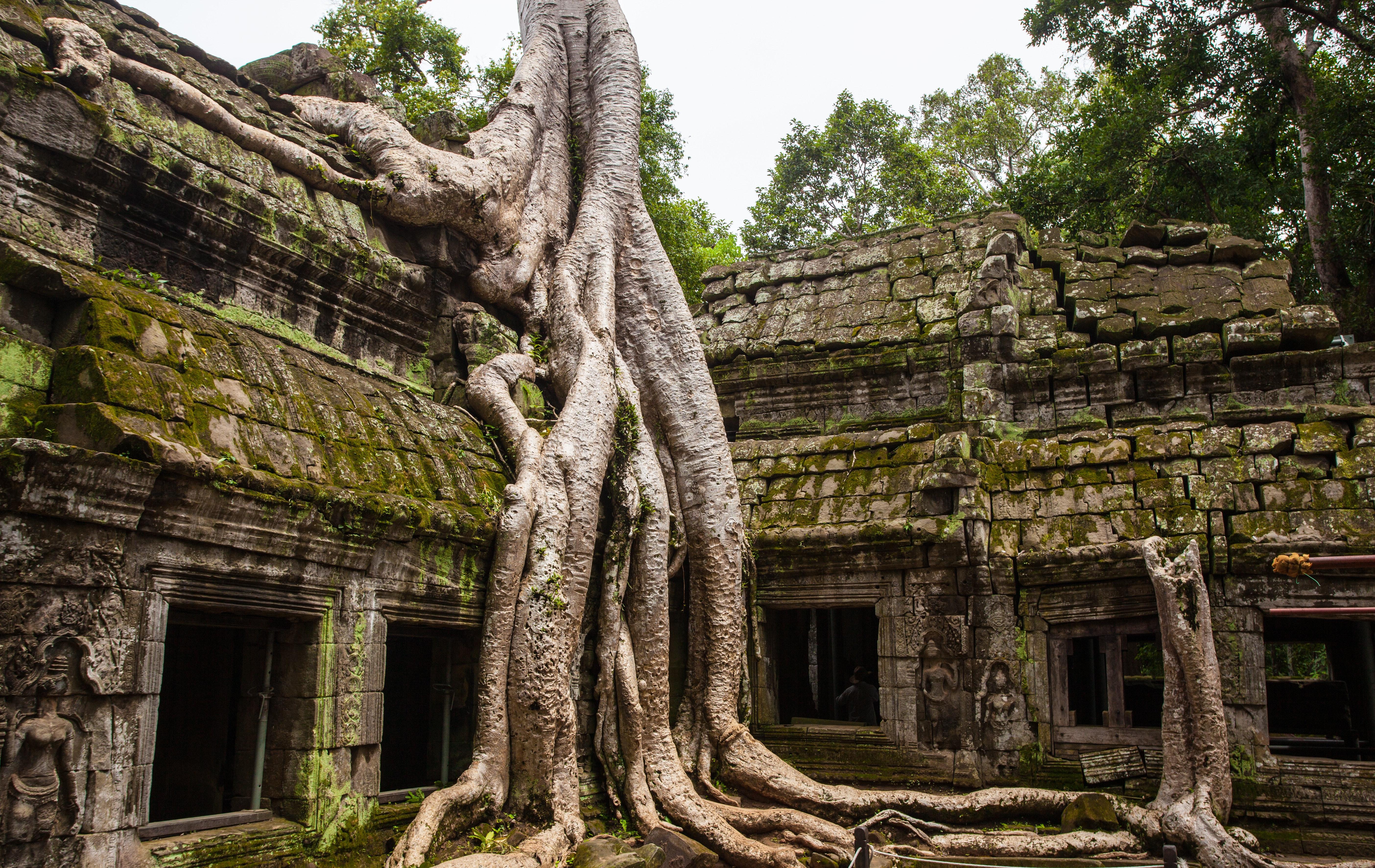 5616x3547 Angkor Wat Photo, Download The BEST Free Angkor Wat & HD Image