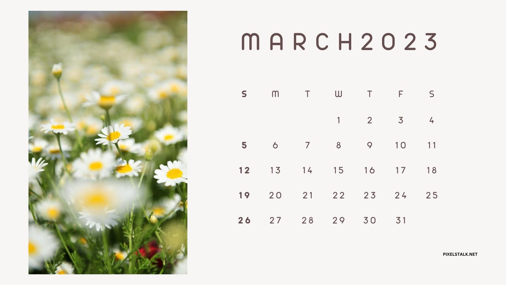 1680x945 March 2023 Calendar Background for Desktop