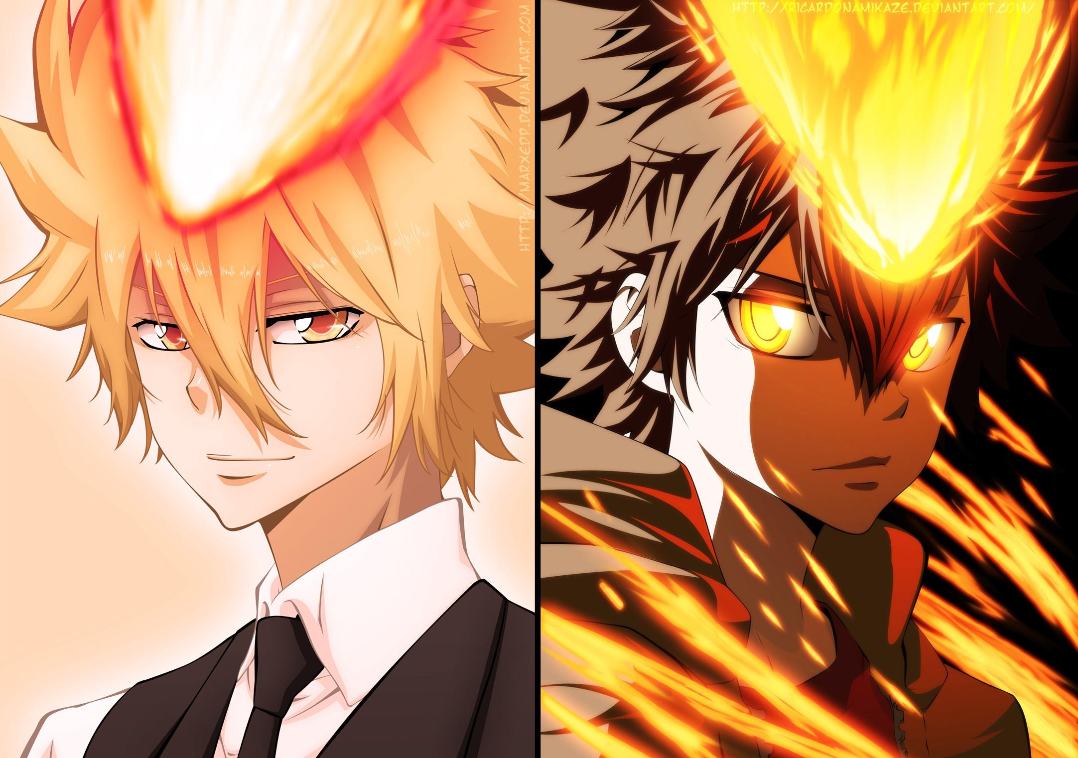 2164x1522 Giotto (Katekyō Hitman Reborn!), Tsunayoshi Sawada Gallery HD Wallpaper