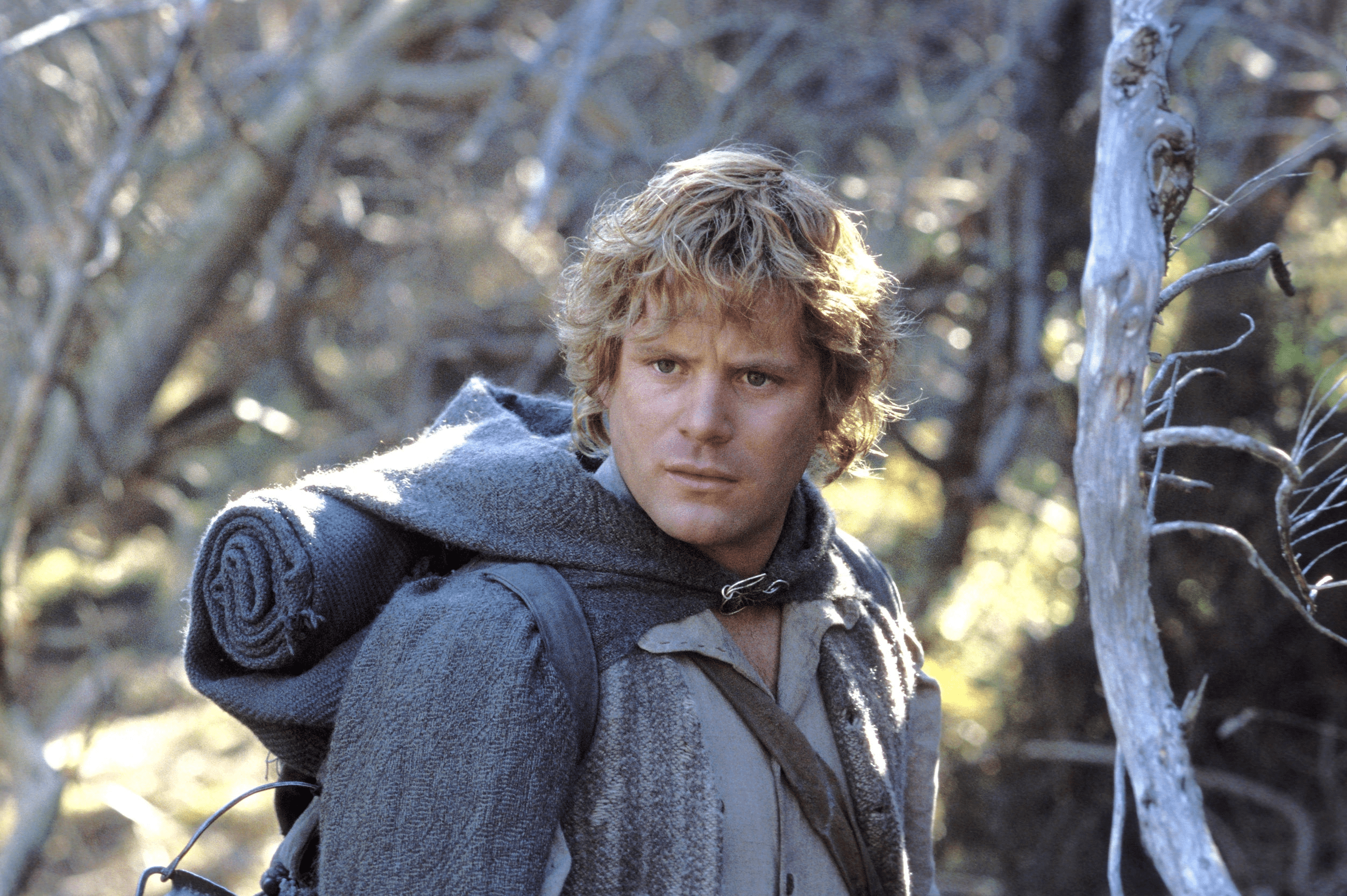 2505x1666 Samwise Gamgee HD Wallpaper and Background