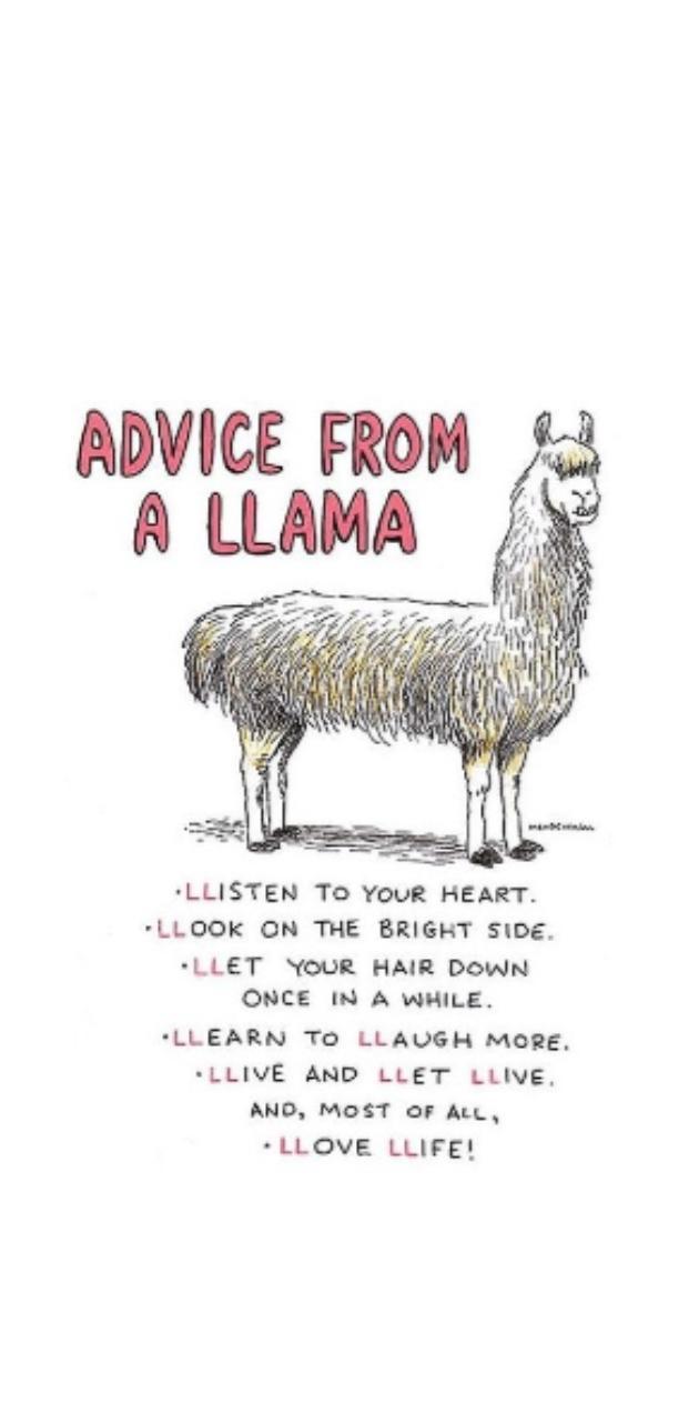 630x1280 Advice from a llama wallpaper