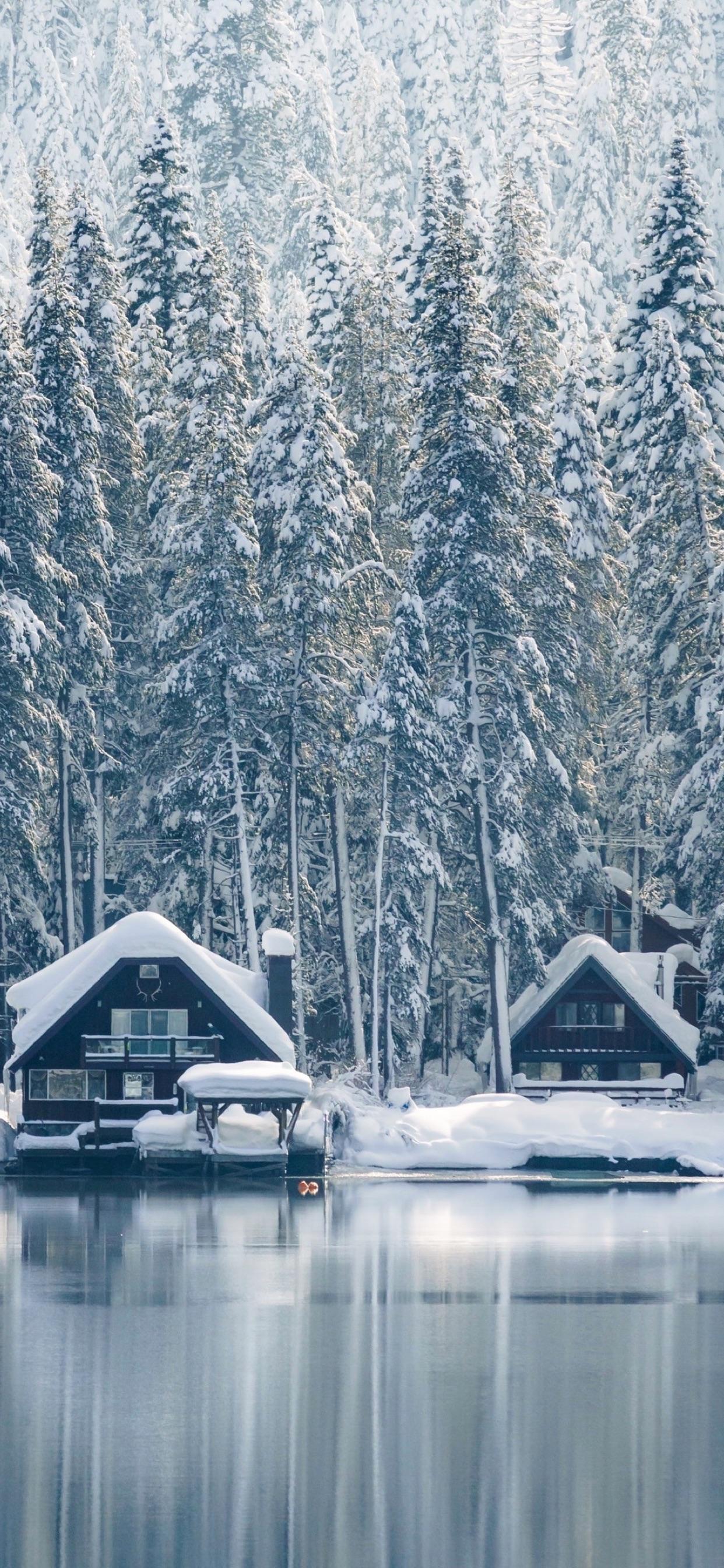 1242x2688 Wallpaper Weekends: Winter Wonderland Wallpaper for iPhone and iPad