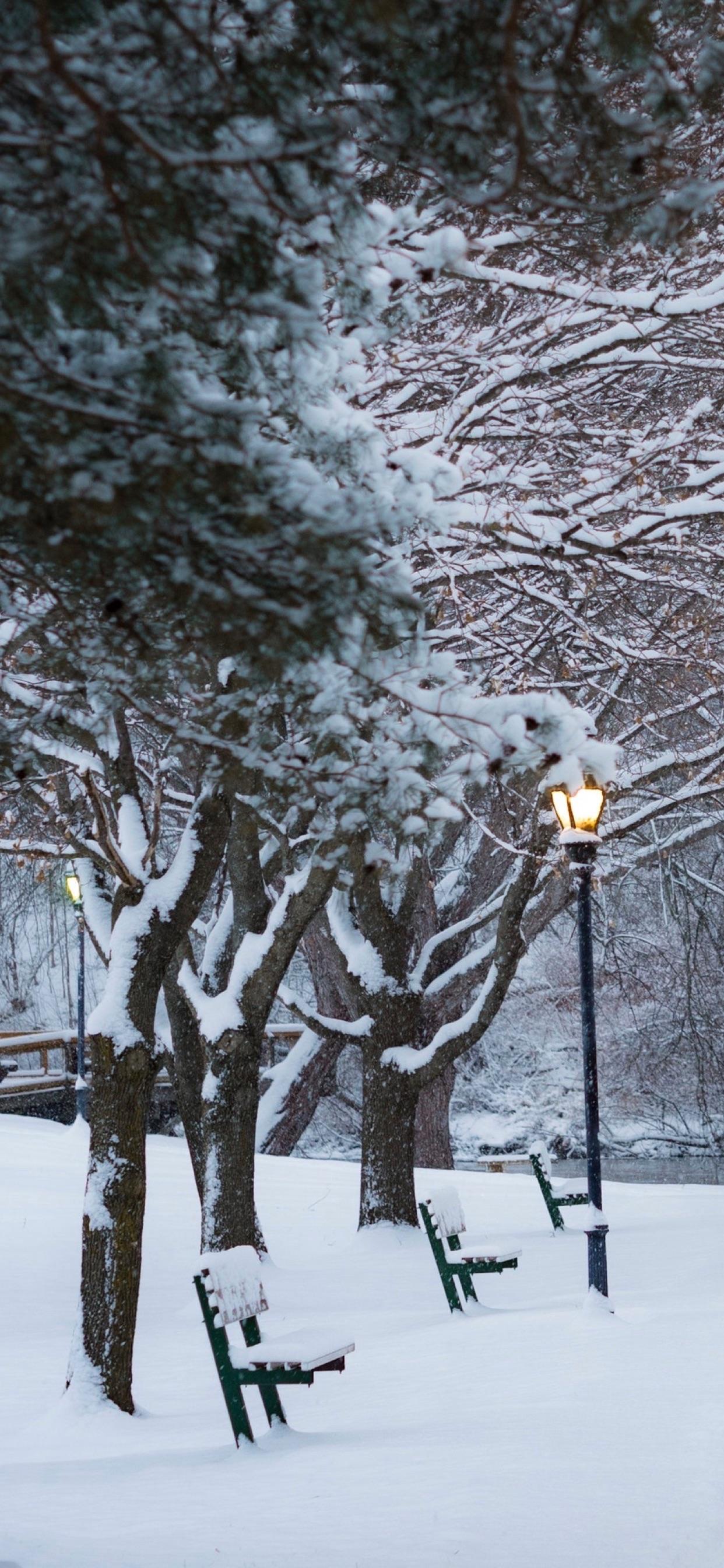 1242x2688 Wallpaper Weekends: Winter Wonderland Wallpaper for iPhone and iPad