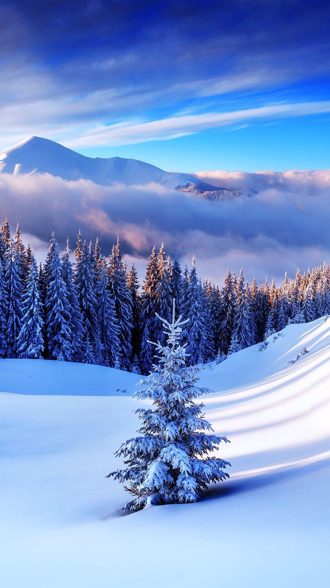 1080x1920 Winter iPhone Wallpaper