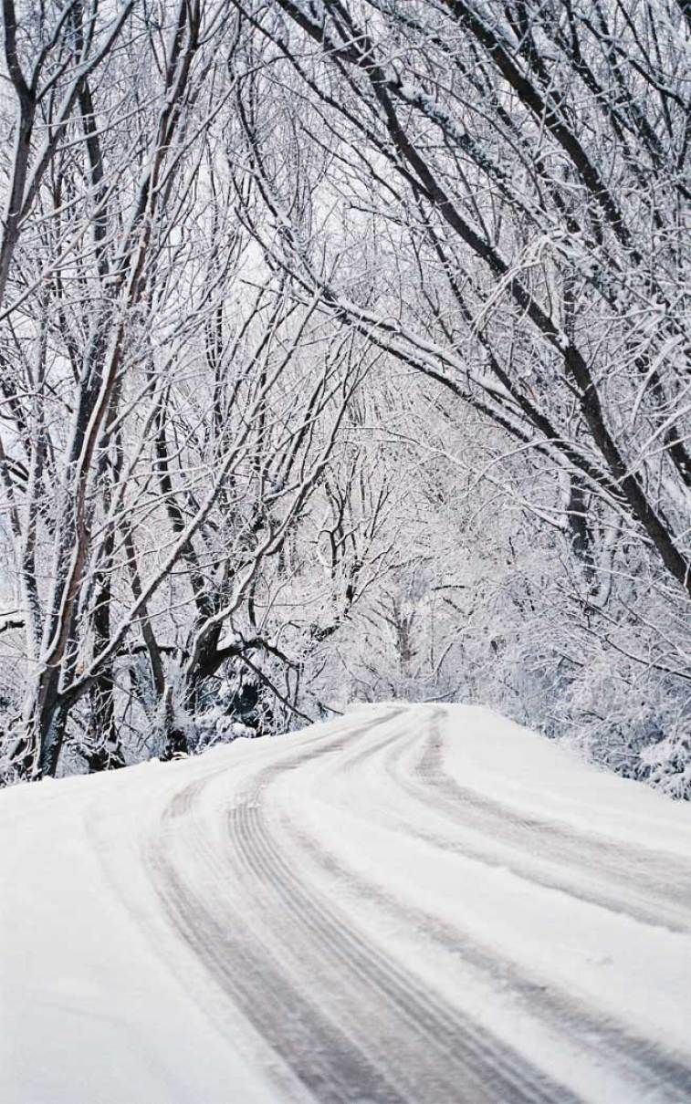 757x1210 Winter wonderland snow everywhere Wallpaper