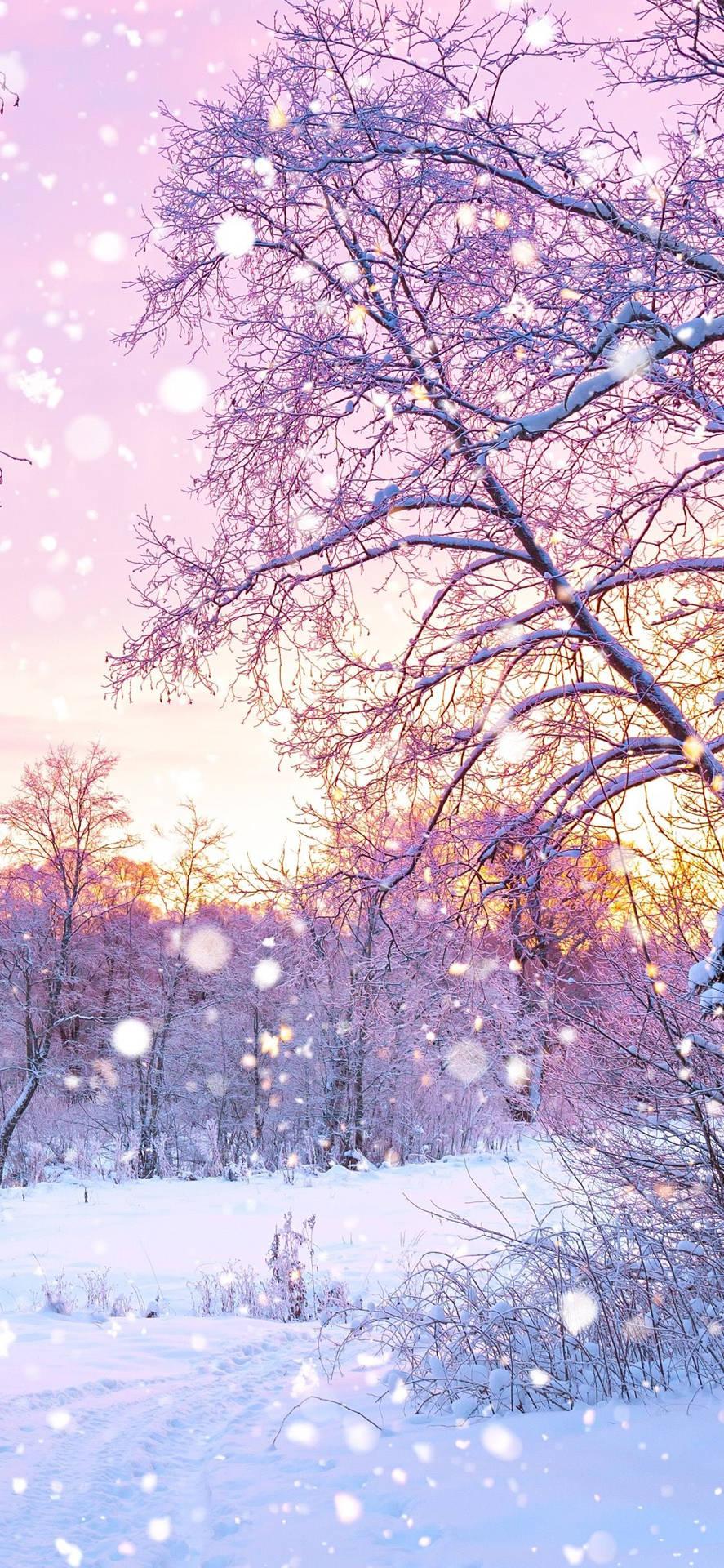 887x1920 Free Cute Winter iPhone Wallpaper Downloads, Cute Winter iPhone Wallpaper for FREE