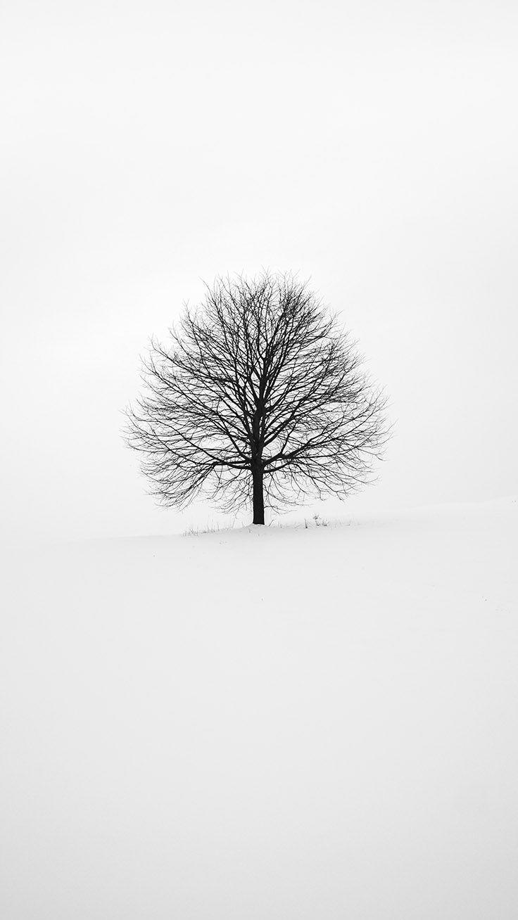 736x1308 x Winter Wonderland iPhone Xs Wallpaper. Preppy Wallpaper. iPhone wallpaper winter, White wallpaper for iphone, White wallpaper