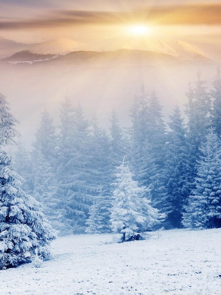 768x1024 Winter Wonderland Ultra HD Desktop Background Wallpaper for 4K UHD TV : Multi Display, Dual Monitor : Tablet