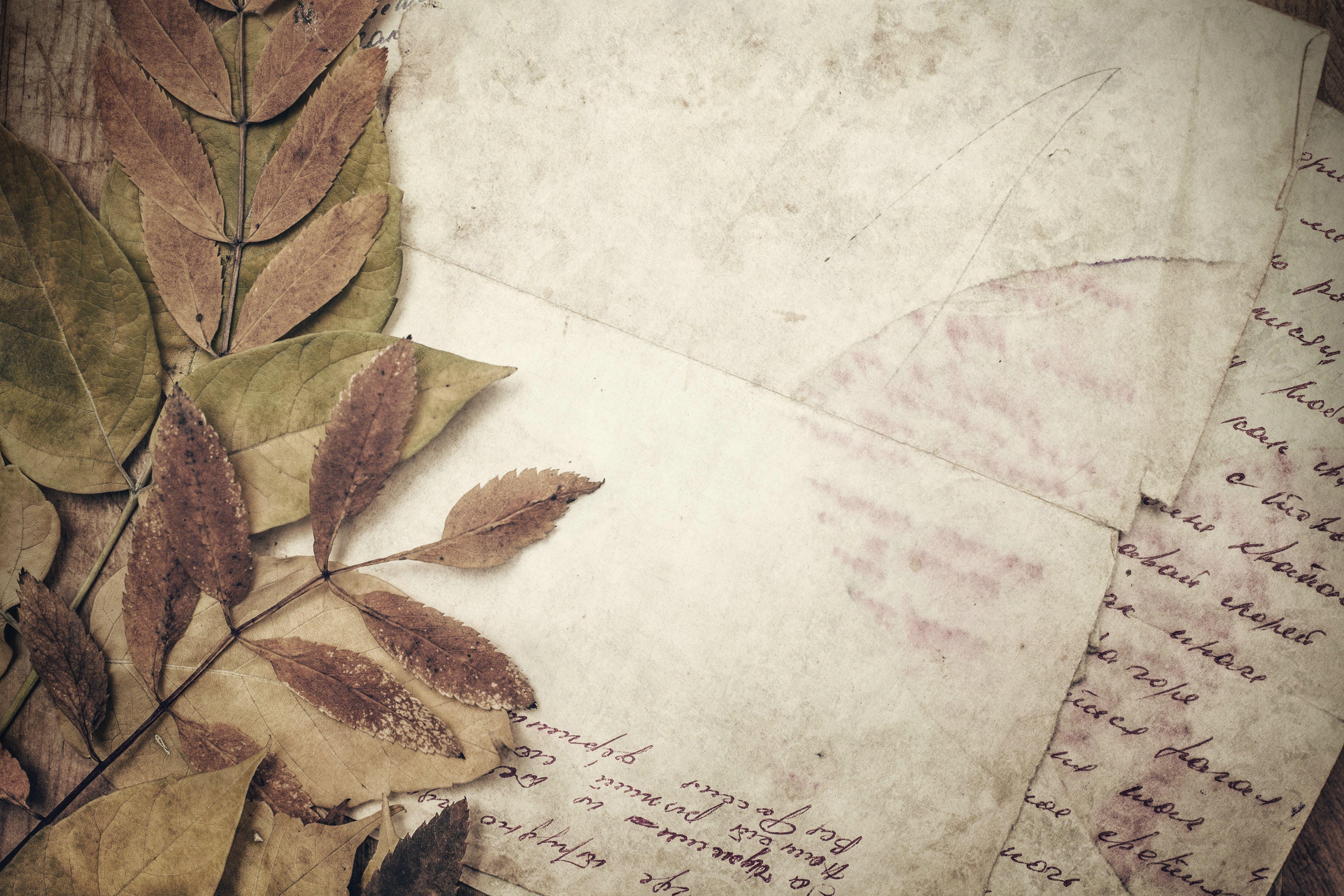 5606x3737 Letter Wallpaper