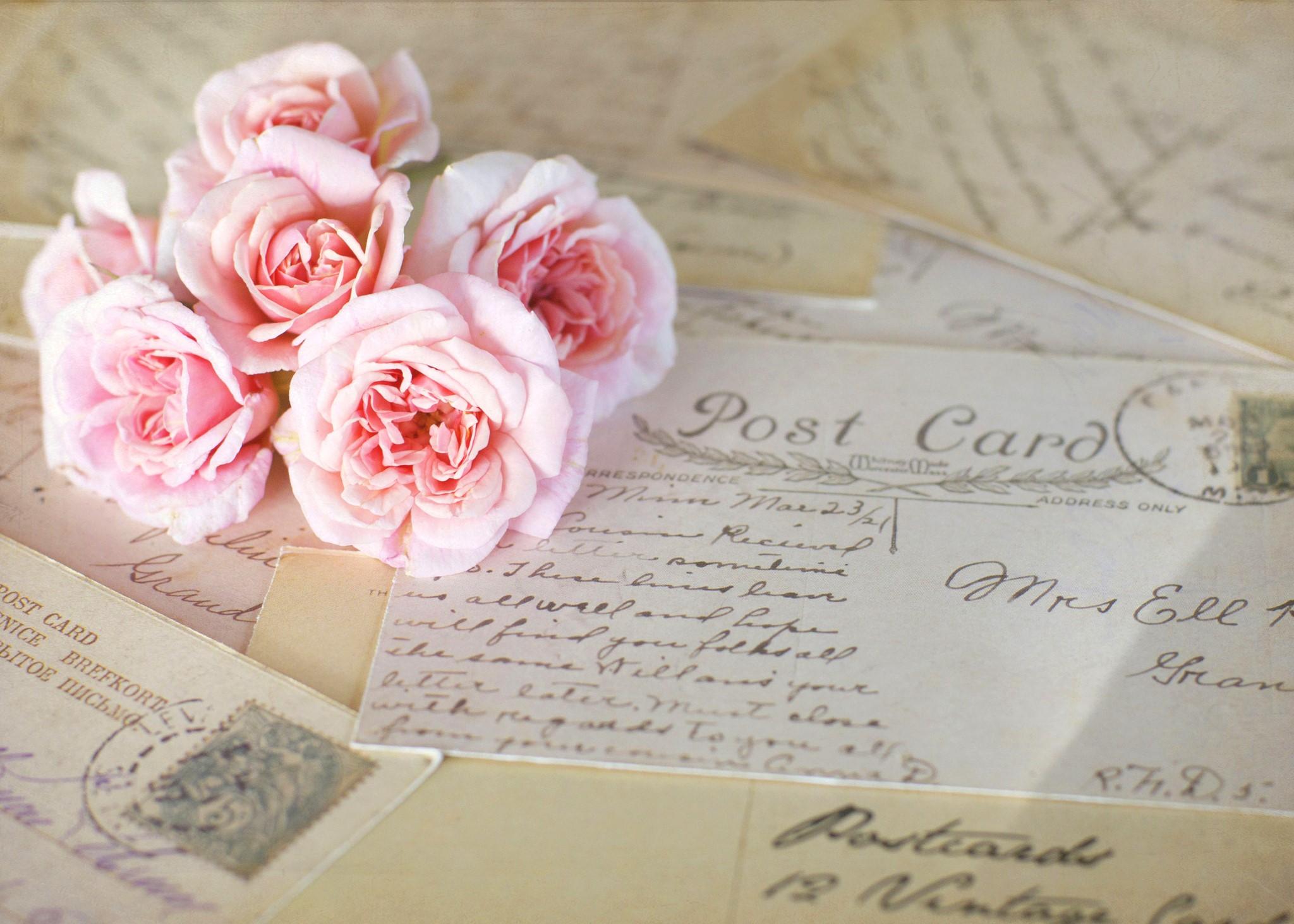 2048x1463 Roses, Pink color, Letter message Gallery HD Wallpaper
