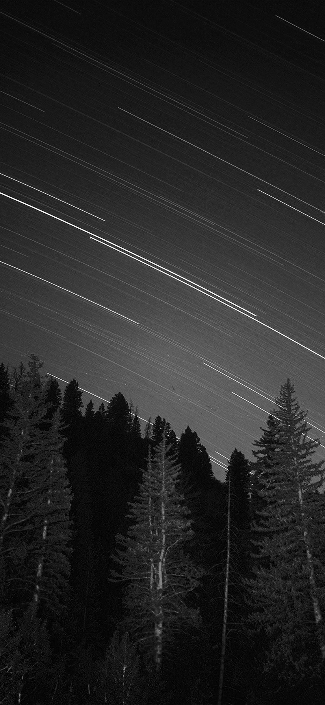 1125x2436 iPhone X wallpaper. night wood mountain star sky nature bw dark