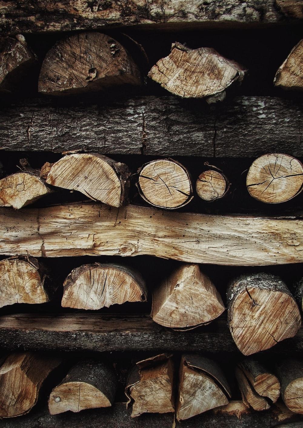 1000x1415 brown and black wood log photo