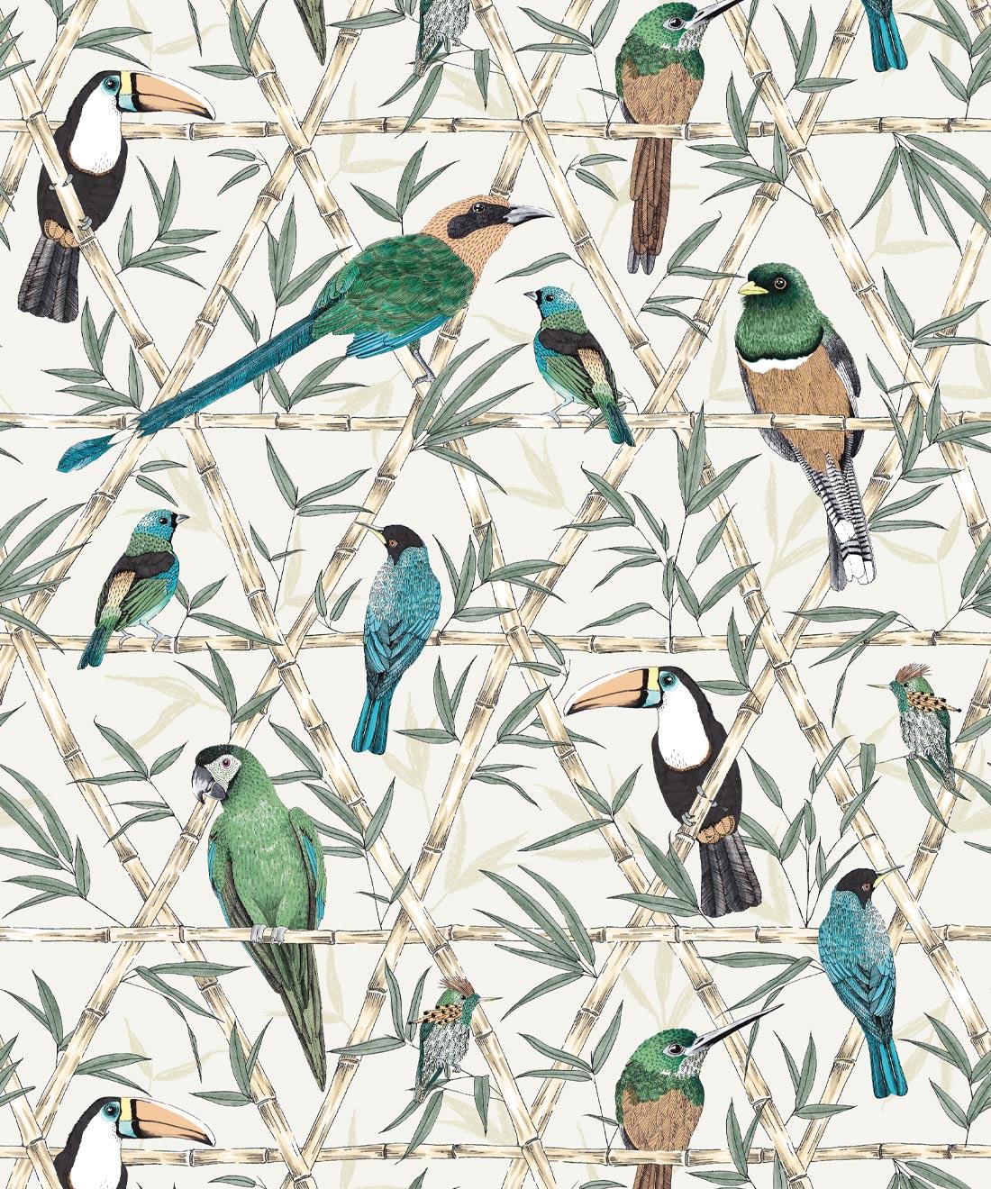 Parrot Pattern Wallpapers - Top Free Parrot Pattern Backgrounds ...