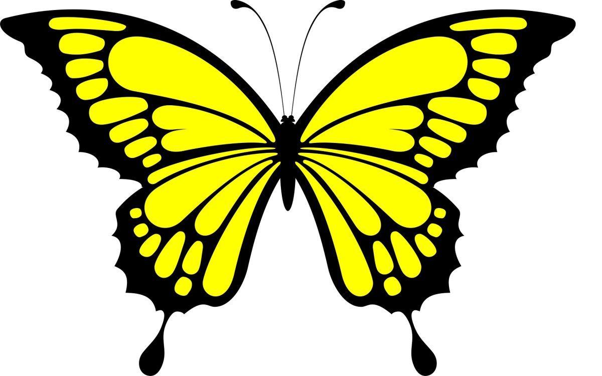 1200x750 Favorite Craft Projects. Butterfly, Butterfly