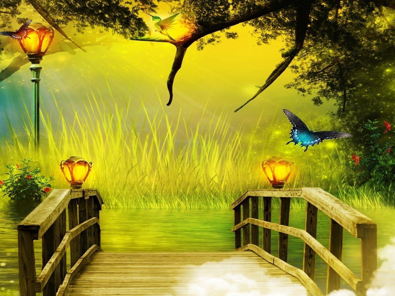 1280x960 yorkshire_rose image Butterflies HD wallpaper and background photo