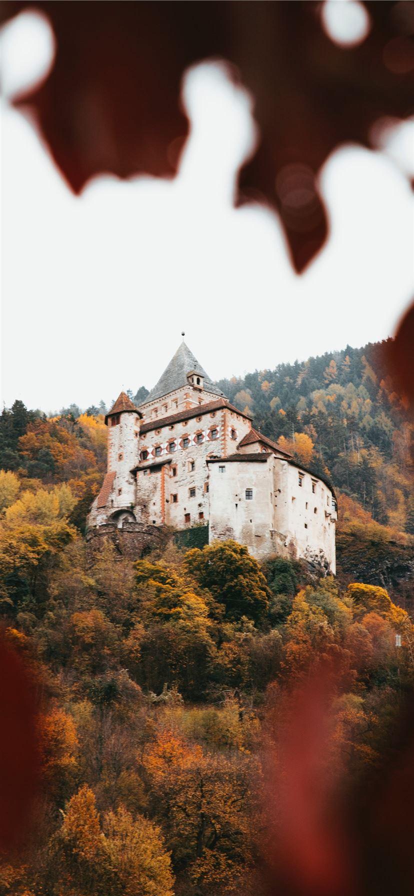 828x1792 Germany Autumn iPhone Wallpaper