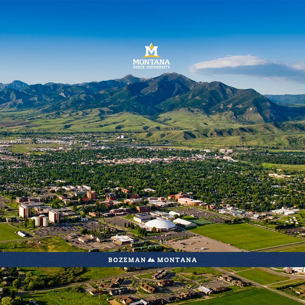 1024x1024 Desktop, Mobile and Tablet Wallpaper. Montana State University