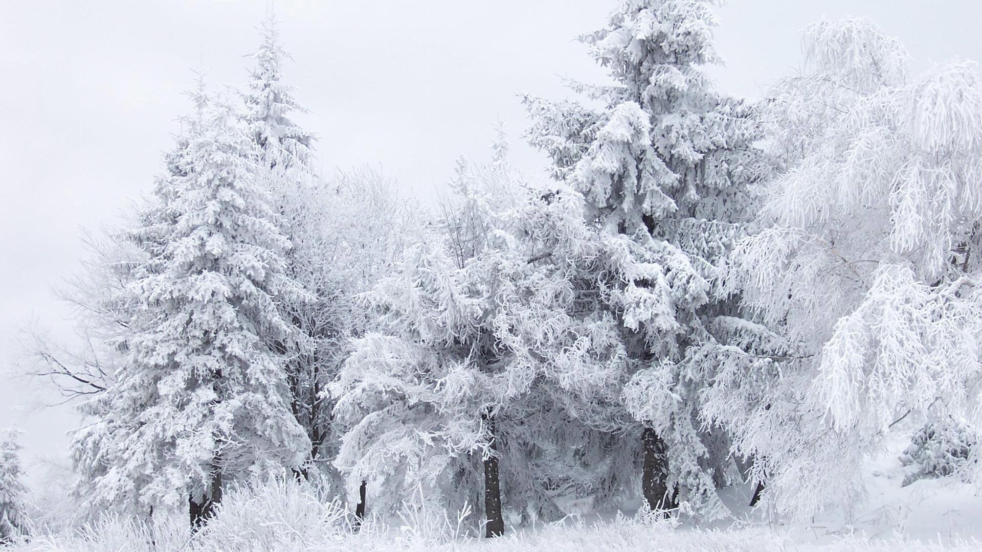 1920x1080 Snow Winter Fantasy Mac HD Wallpaper January Mac Background. Nature