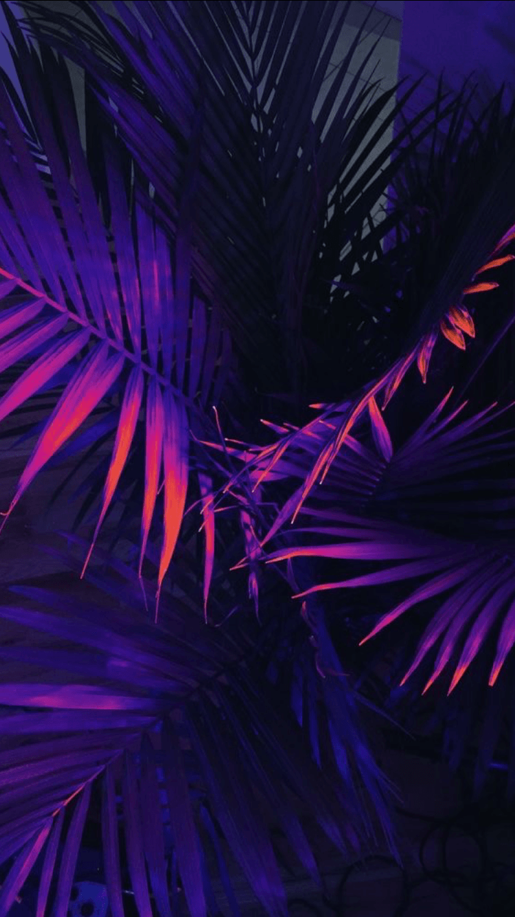 750x1334 ✨°:. Neon wallpaper, Purple wallpaper, Tumblr wallpaper