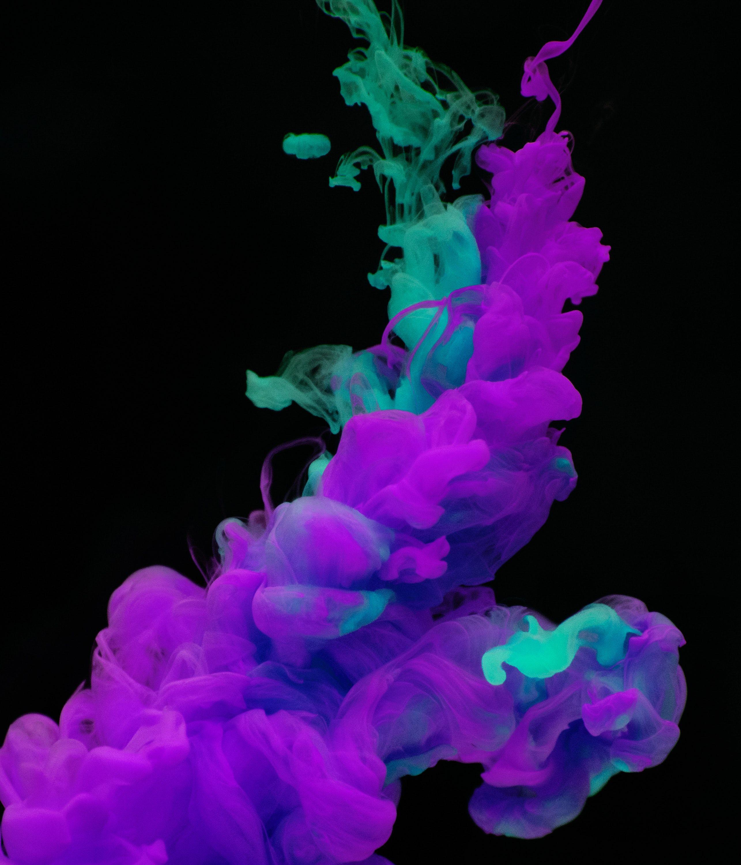 2571x3000 Free stock image with the color Violet (ff)