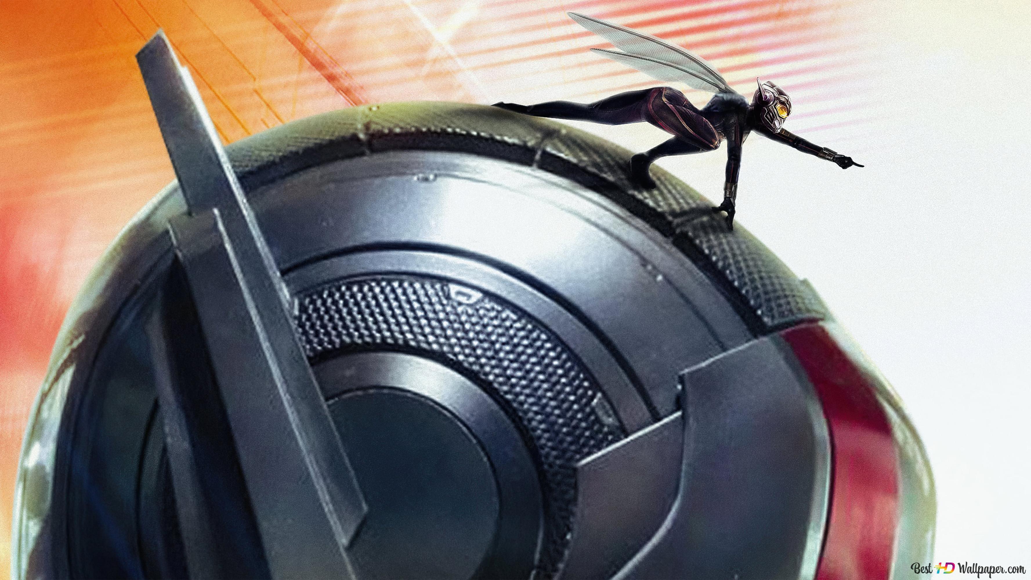3554x1999 Ant Man And The Wasp: Quantumania Movie Poster 4K Wallpaper Download