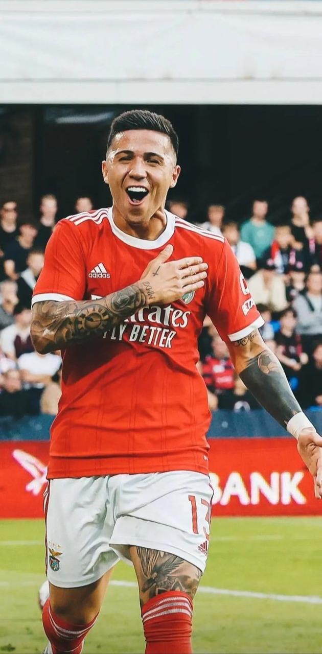 630x1280 Enzo Fernández wallpaper