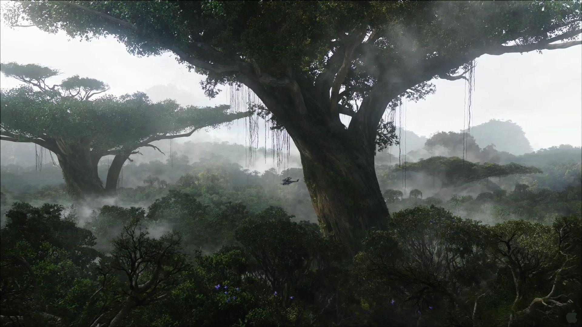 1920x1080 Rainforest On Pandora Desktop Wallpaper Wallpaper Avatar