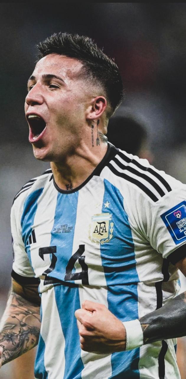 630x1280 Enzo Fernández wallpaper