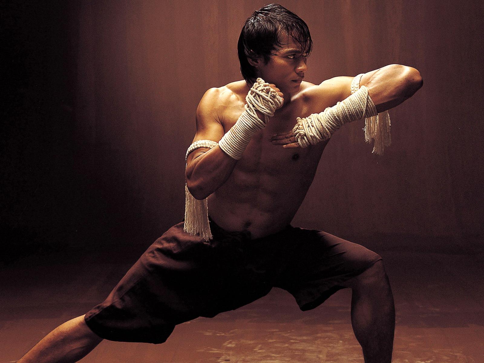 1600x1200 ong bak, Martial, Arts, Ong, Bak, Tony, Jaa Wallpaper HD / Desktop and Mobile Background