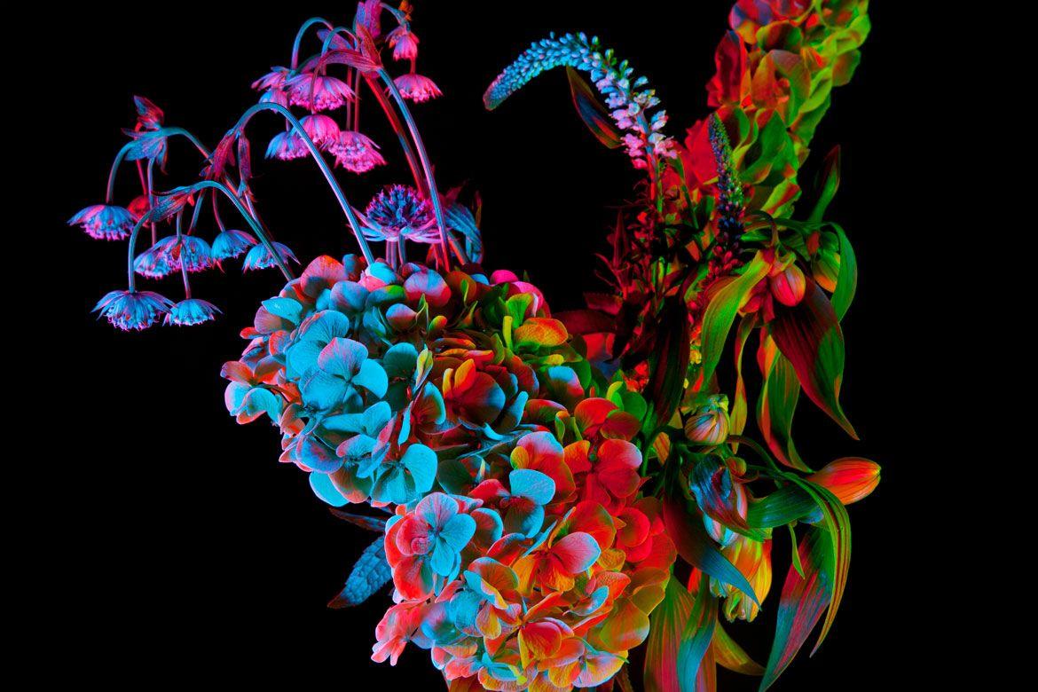 1170x780 Photography
