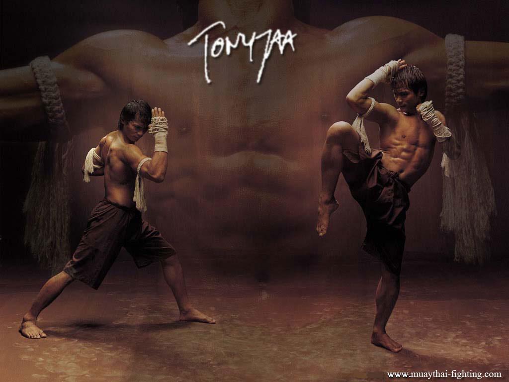 1024x768 Muay Thai Wallpaper styles of Thai Boxing Wallpaper
