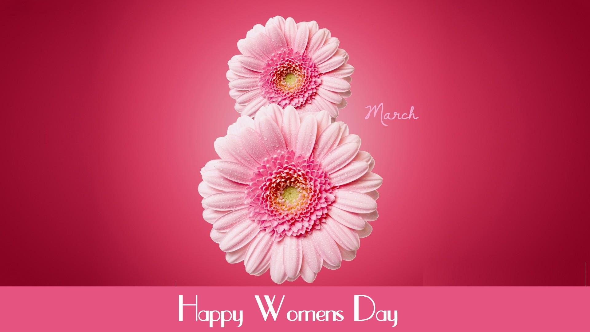 1920x1080 Wallpaper International Women's Day, March flowers, pink, gerbera, Holidays