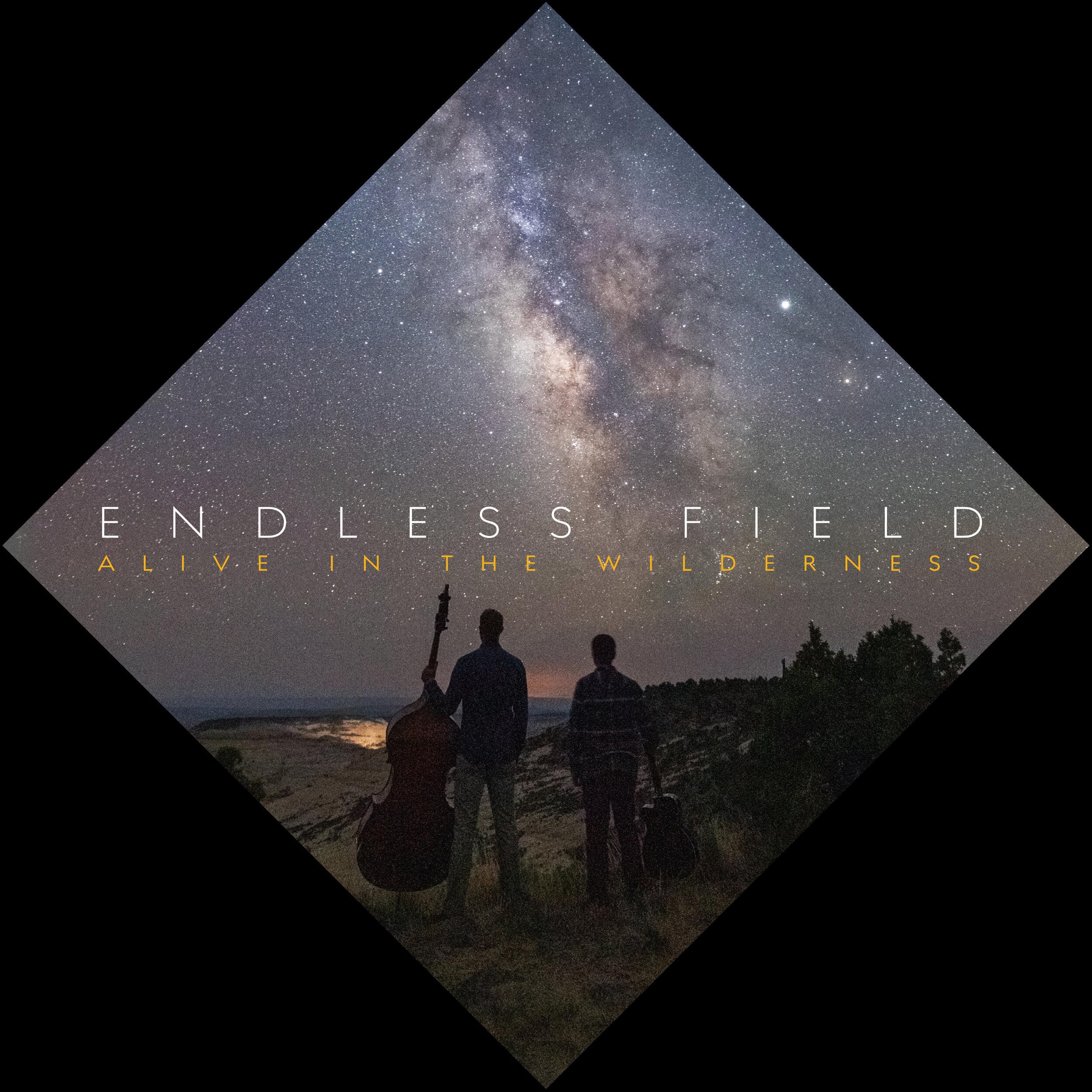 2500x2500 Endless Field