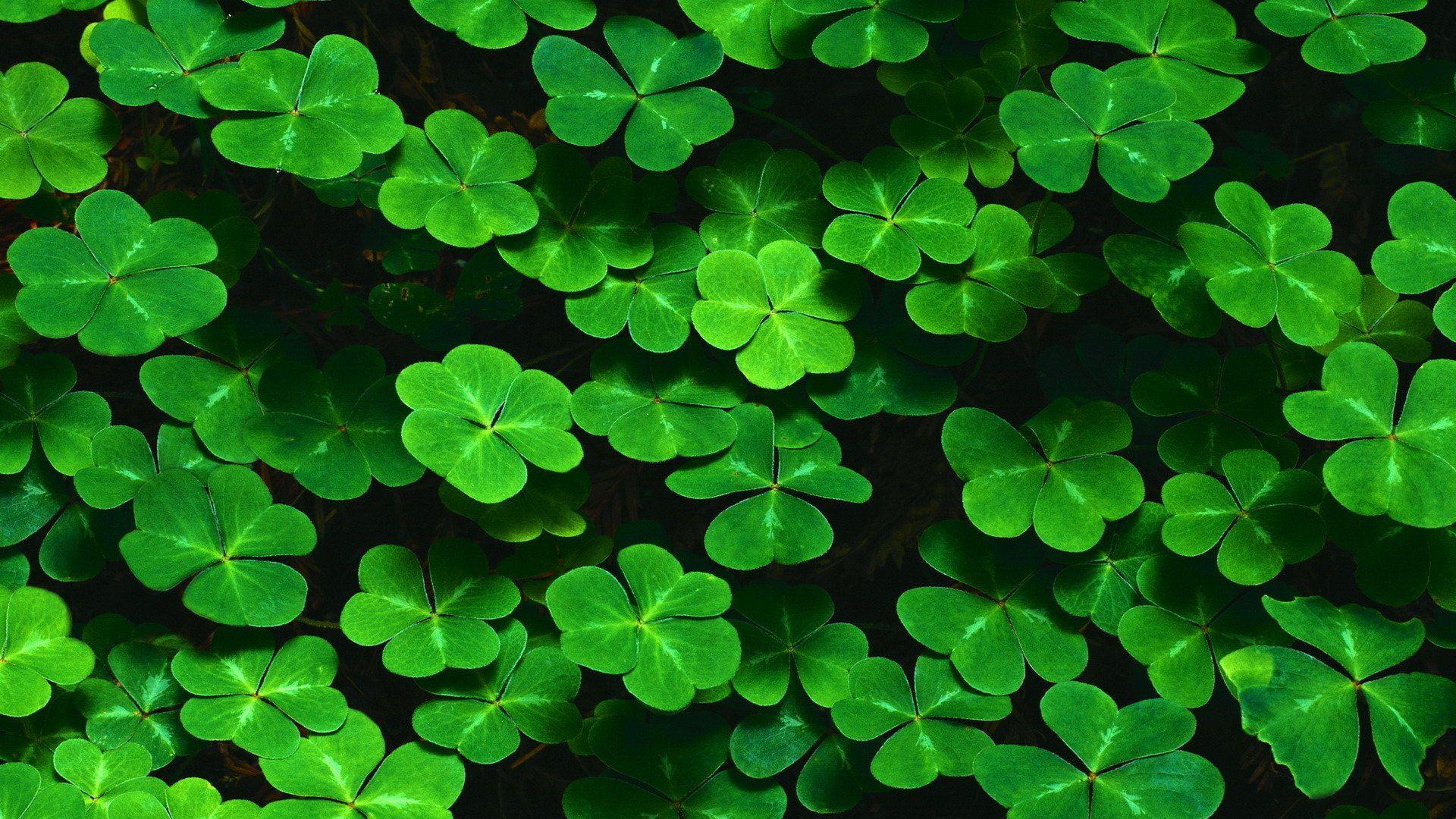 1920x1080 Green Macbook Wallpaper