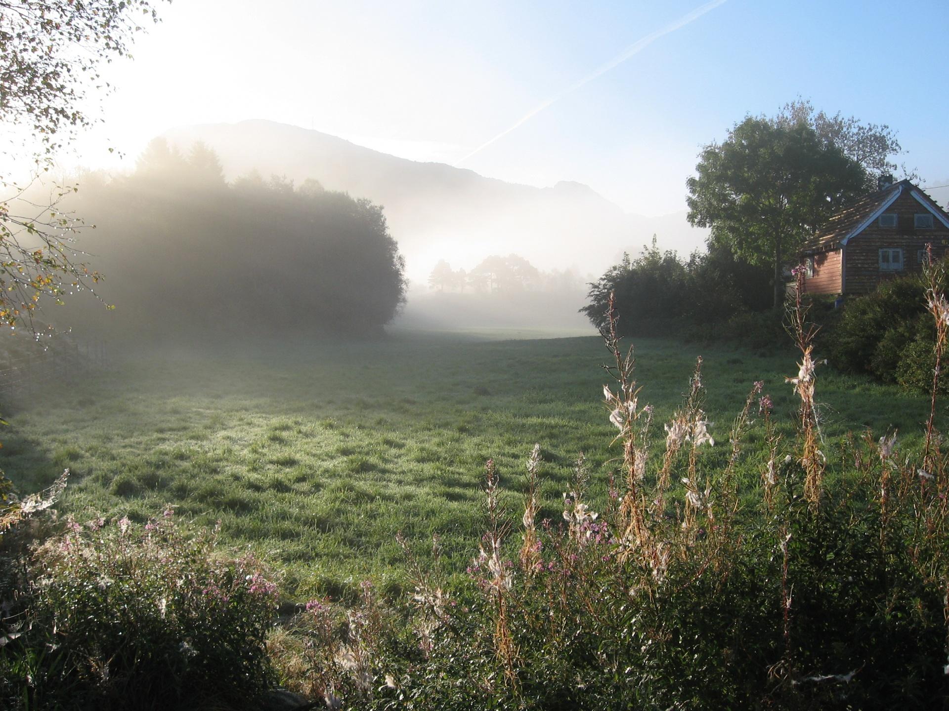 45,628+ Morning Mist Pictures | Download Free Images on Unsplash