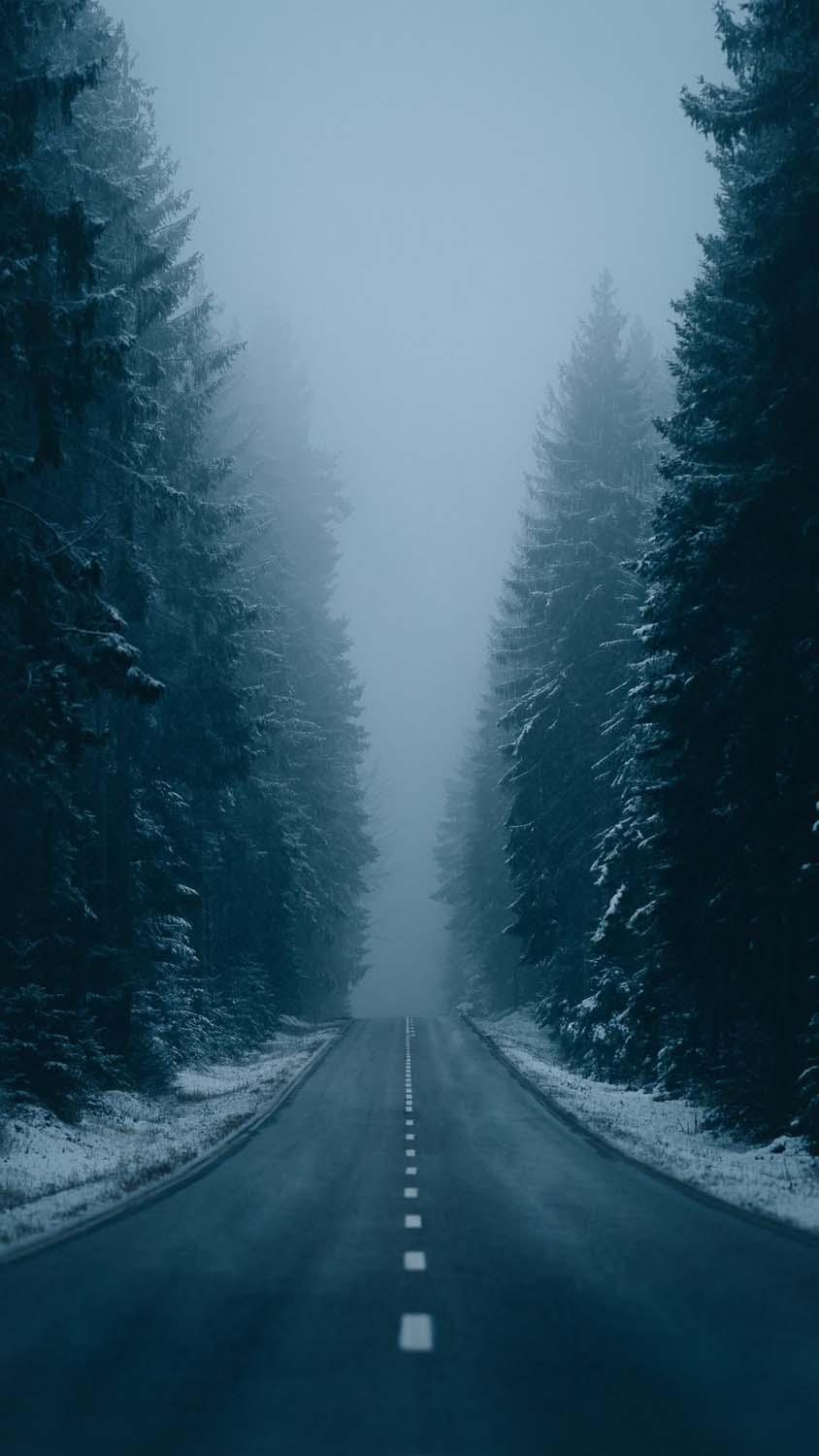 844x1500 Snow Morning Mist Road IPhone Wallpaper HD Wallpaper : iPhone Wallpaper