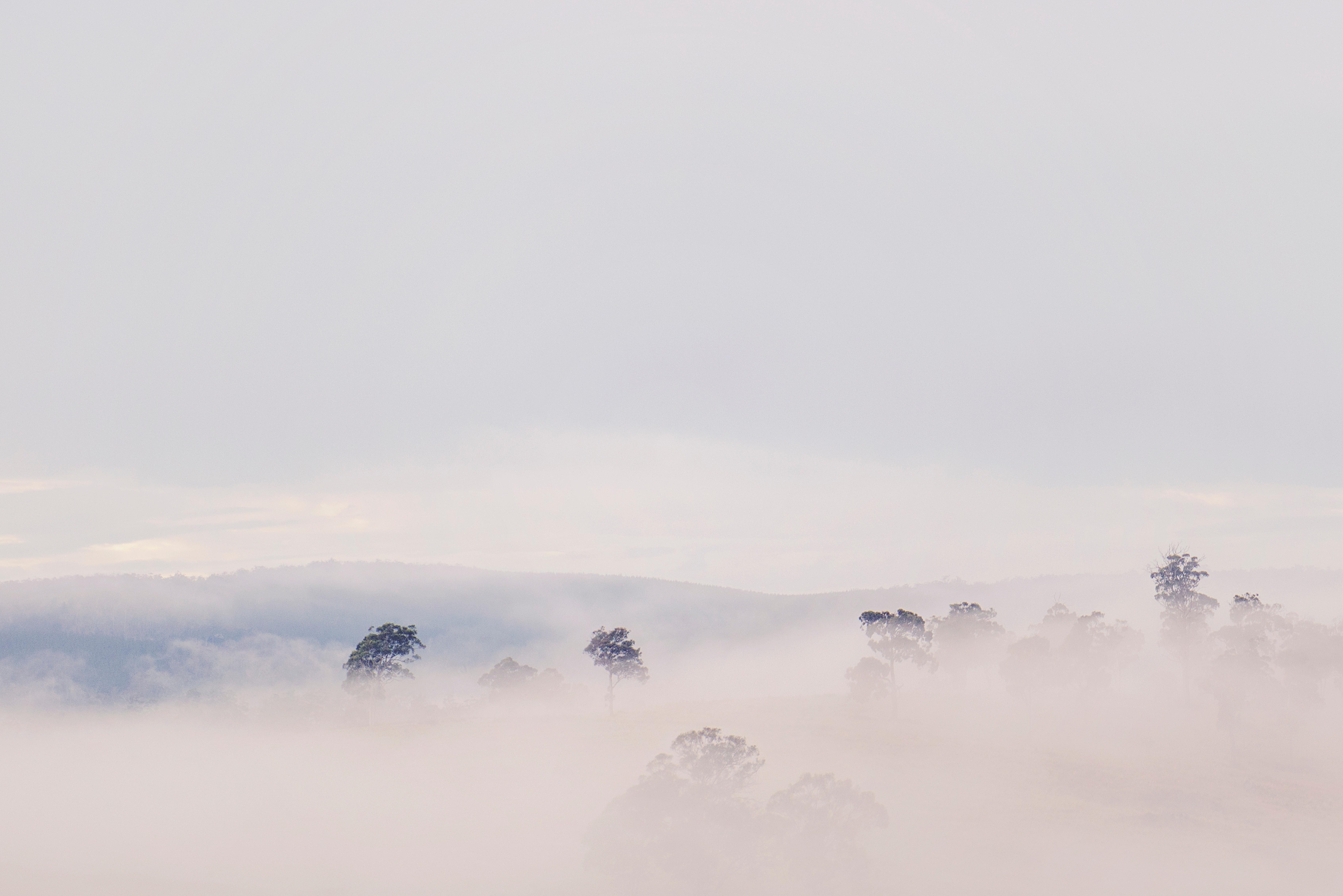 7360x4912 Pastel Background Photo, Download The BEST Free Pastel Background & HD Image