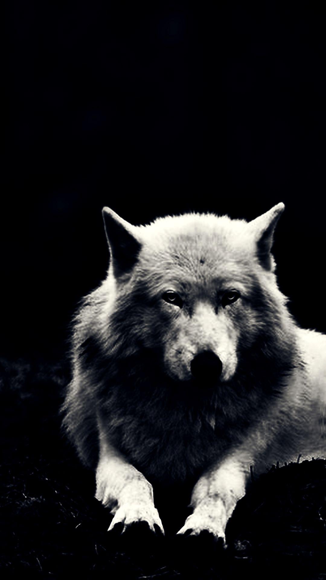 1080x1920 Wolf Wallpaper 4K Mobile Ideas. Wolf wallpaper, Winter wolves, Wolf spirit animal