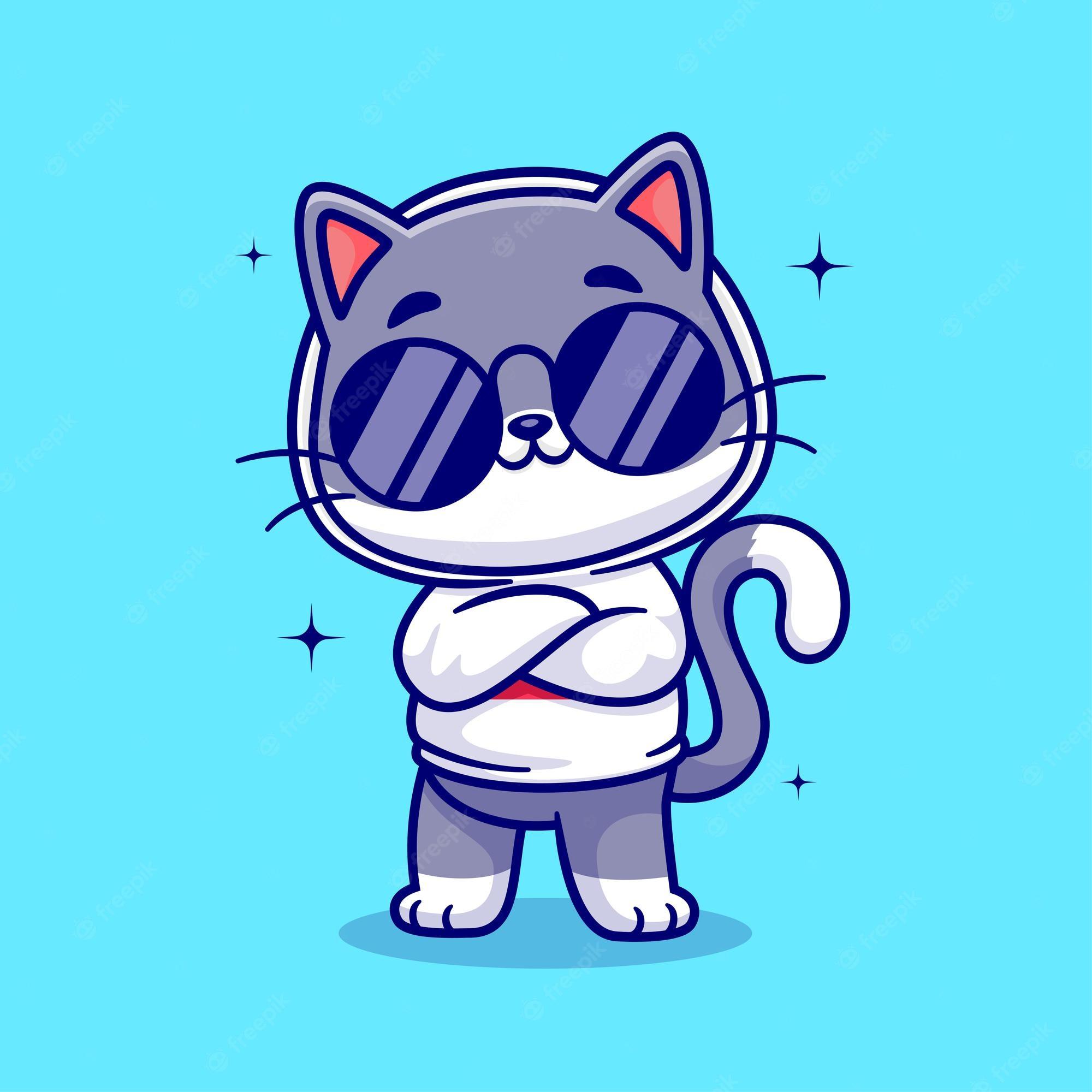 2000x2000 Cool Cat Image