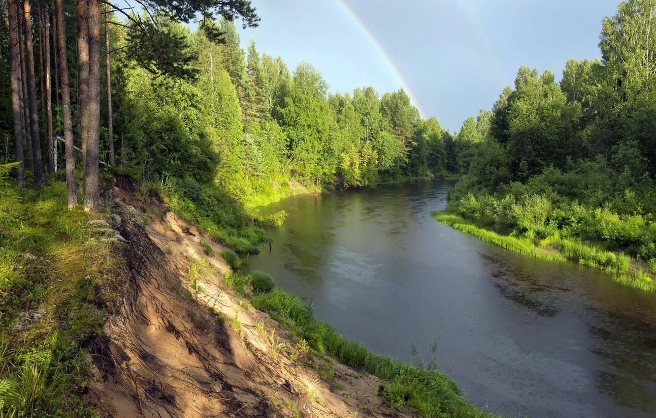 1332x850 Wallpaper forest, rainbow, pine, river image for desktop, section пейзажи