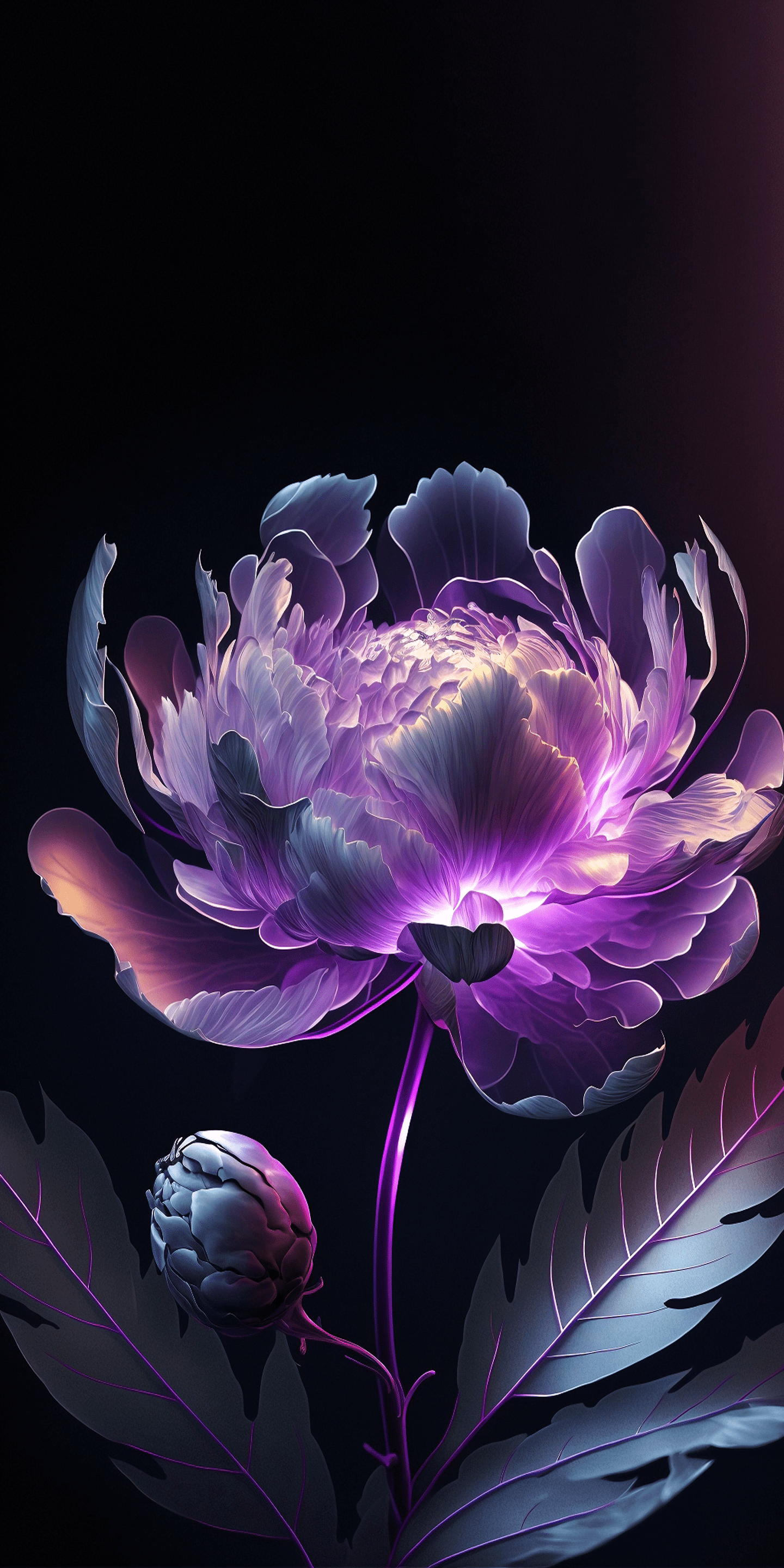 1440x2880 HDR flower wallpaper for iPhone