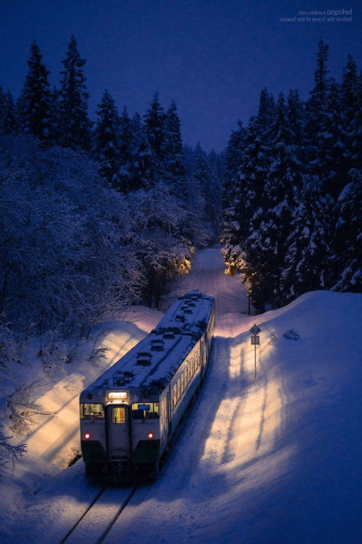 748x1122 Train Winter Wallpaper