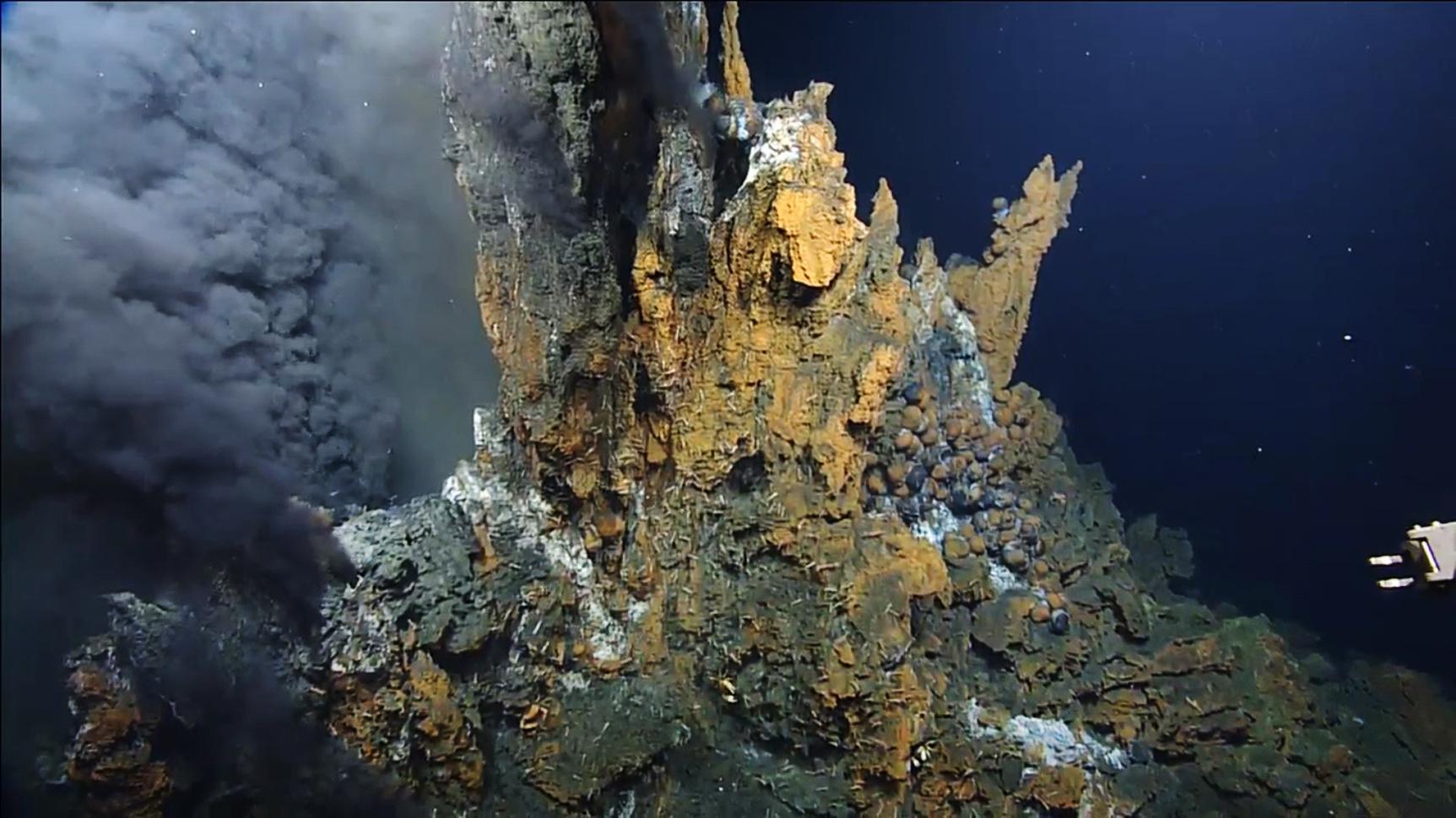 1725x970 Civil Geeks: New Tech Brings The Ocean's Abyss To Us Civil Beat