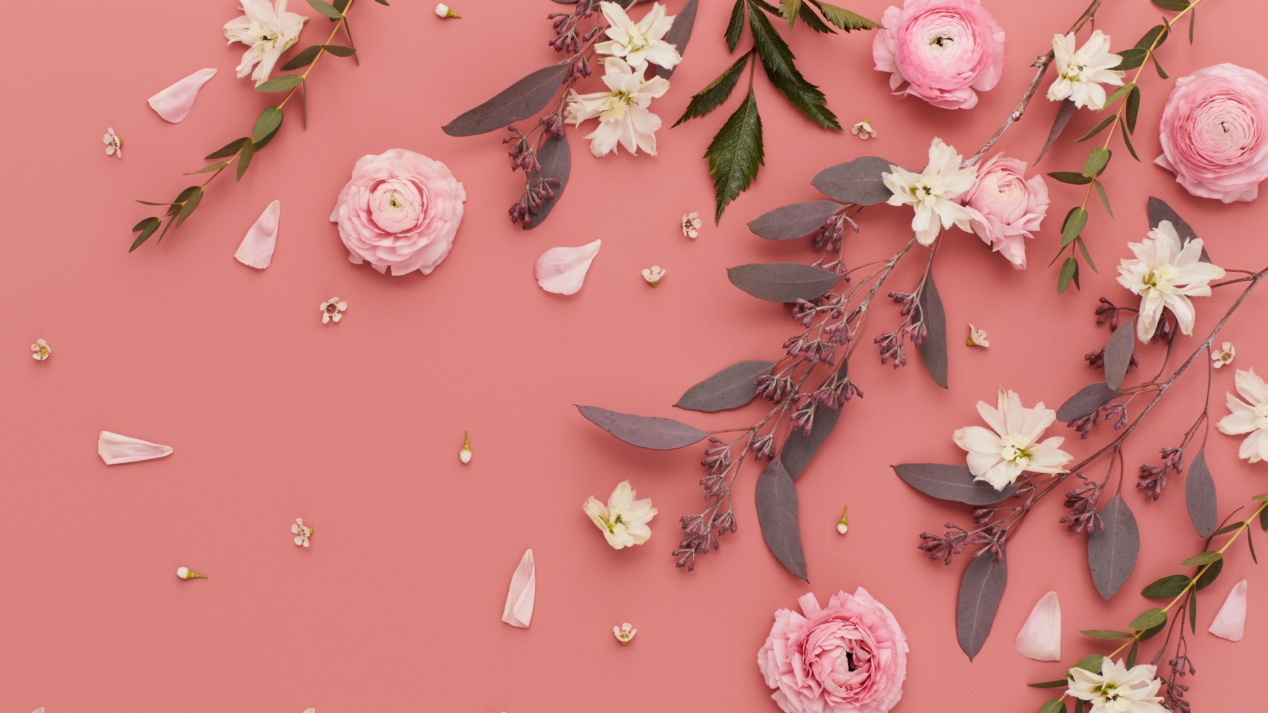 5120x2880 Pink Desktop Wallpaper