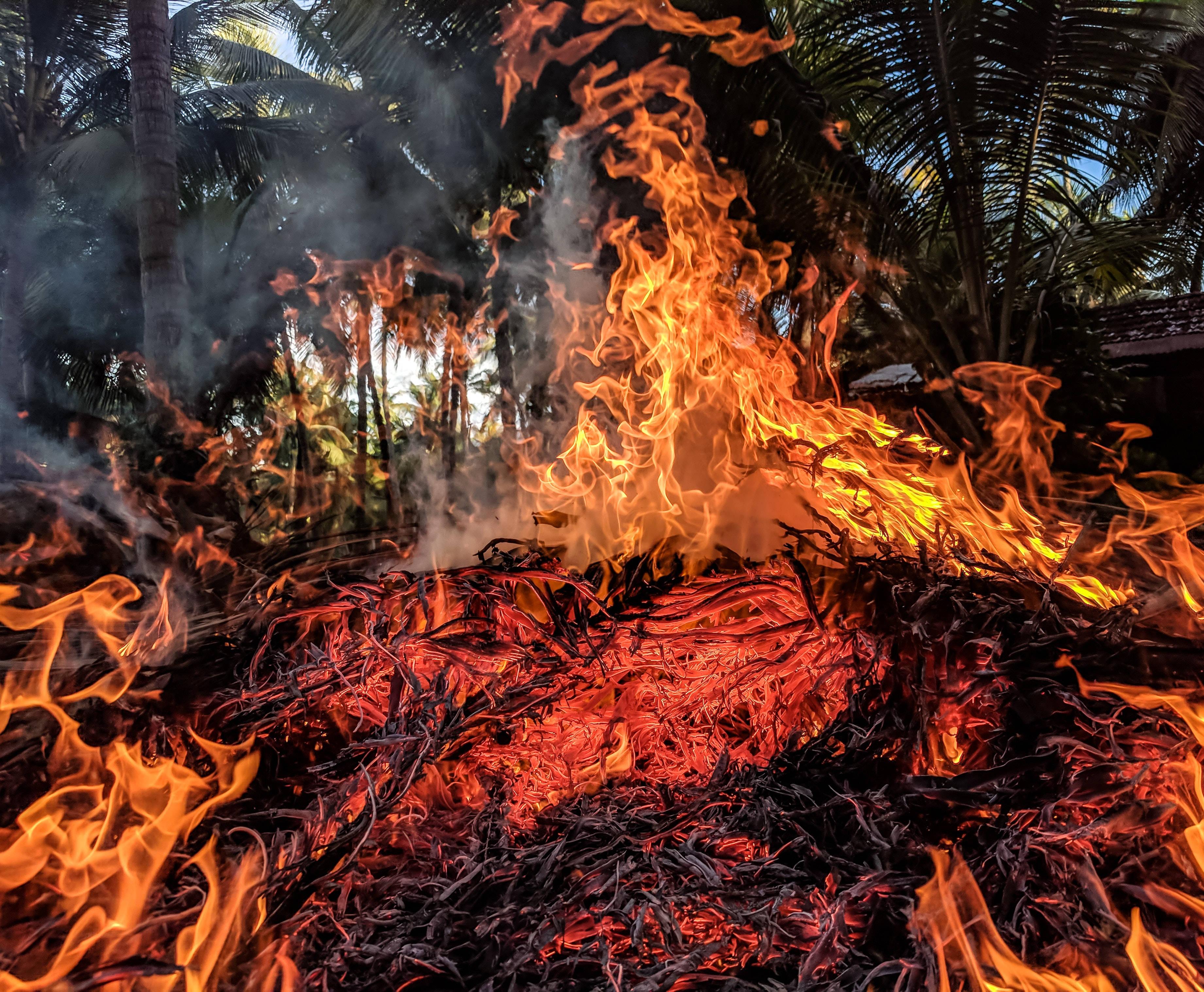 3683x3036 Download Danger Forest Fire Wallpaper