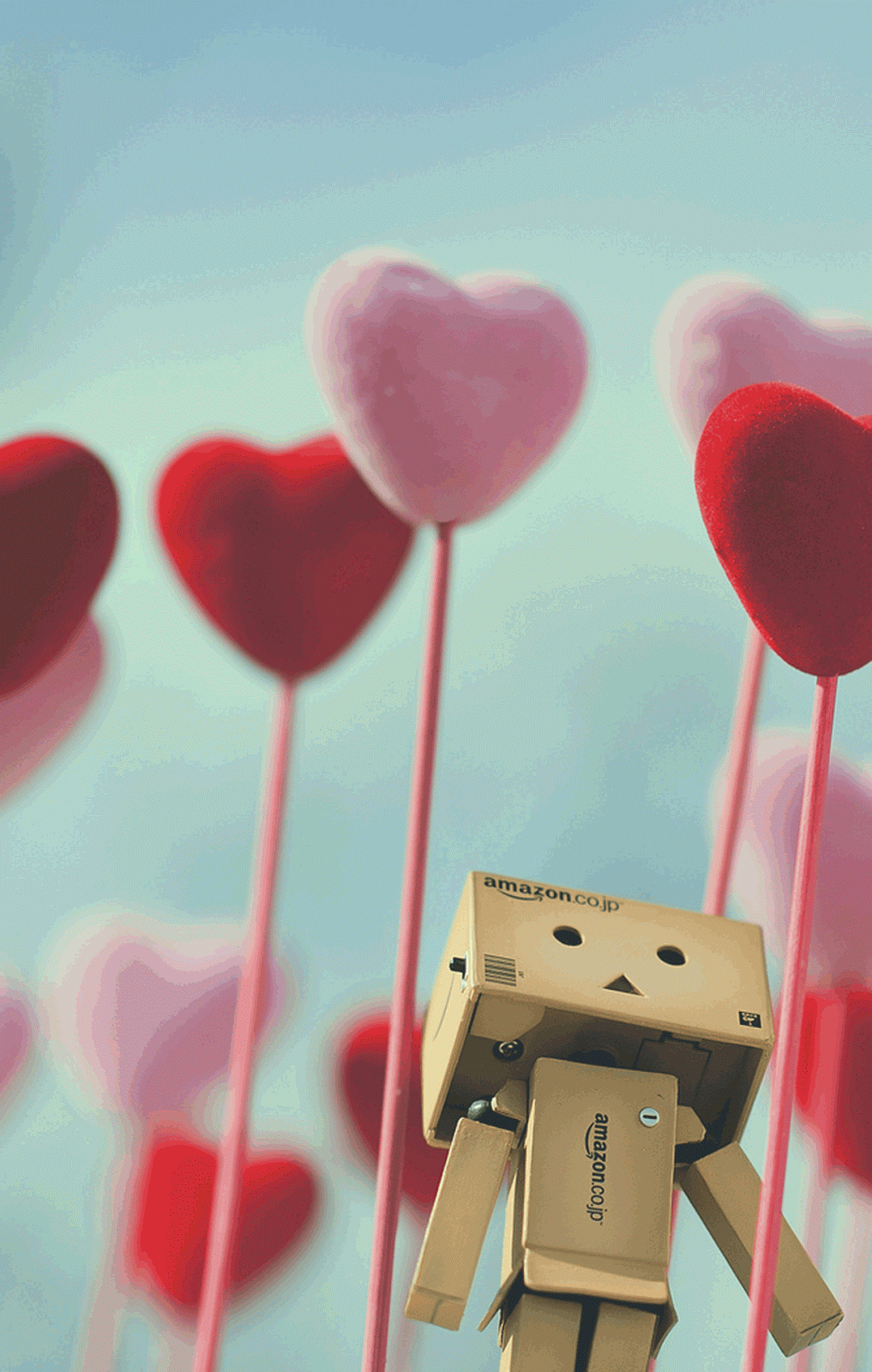 1017x1600 Kindle Fire Wallpaper