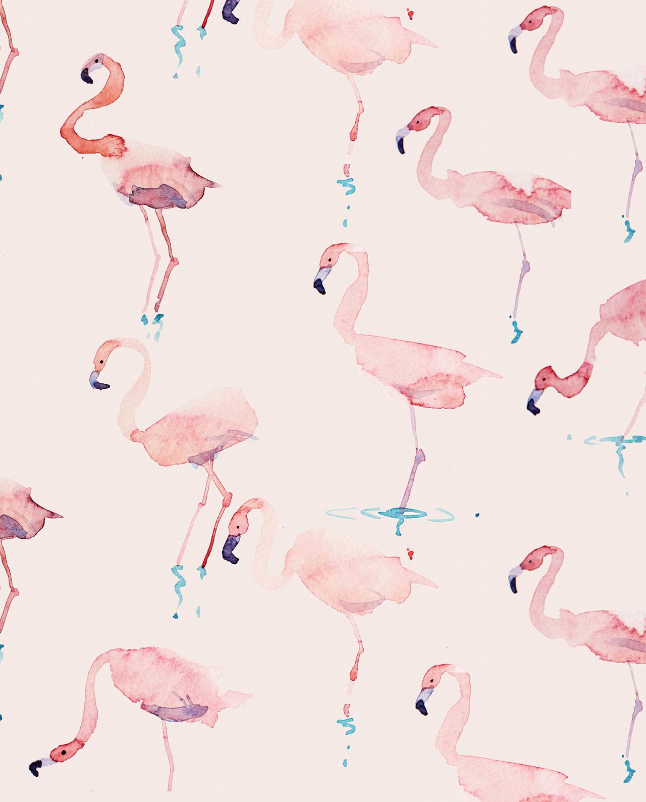 1280x1588 FLAMINGO hình nền https://wallpaperaccess.com/full/888714.jpg